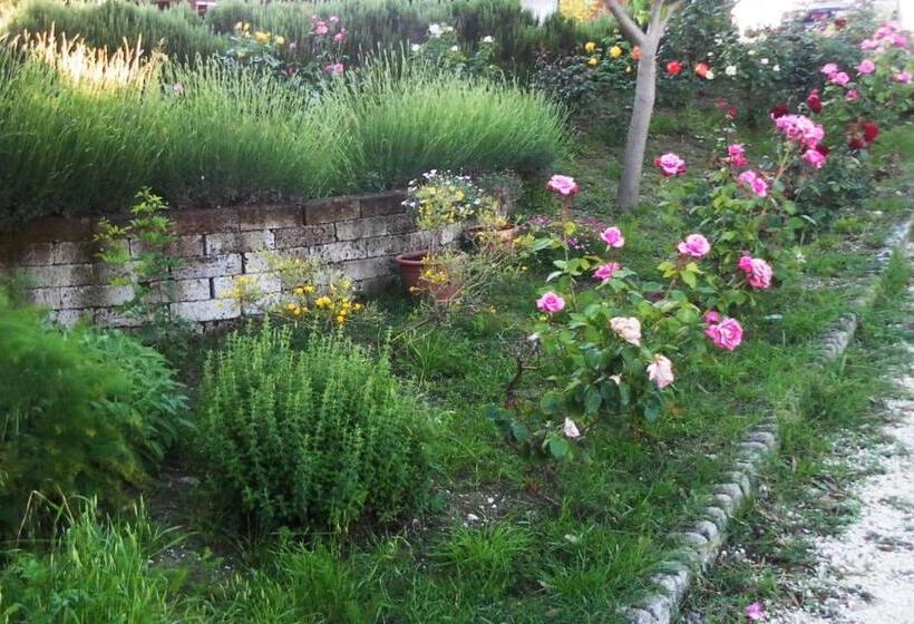 בית מלון כפרי All Ombra Degli Ulivi B&b