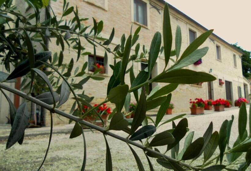 בית מלון כפרי All Ombra Degli Ulivi B&b