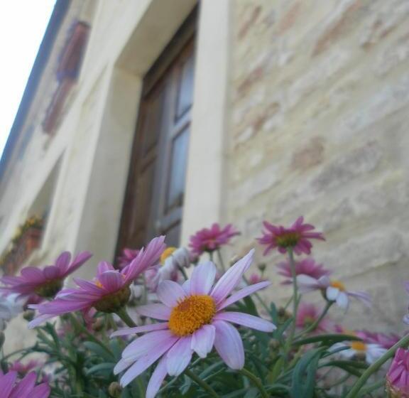 בית מלון כפרי All Ombra Degli Ulivi B&b