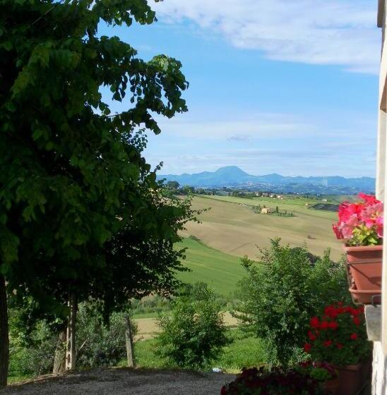 בית מלון כפרי All Ombra Degli Ulivi B&b