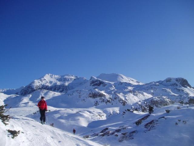 ホテル Berggasthof Ferienbauernhof Habersatt