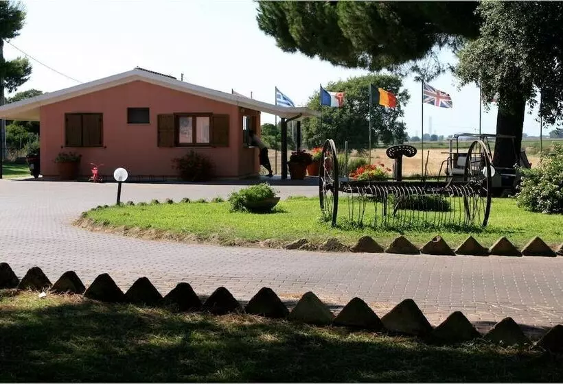 ホテル Happy Camp Mobile Homes In Gitavillage California
