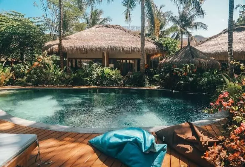 ホテル Mana Eco Retreat