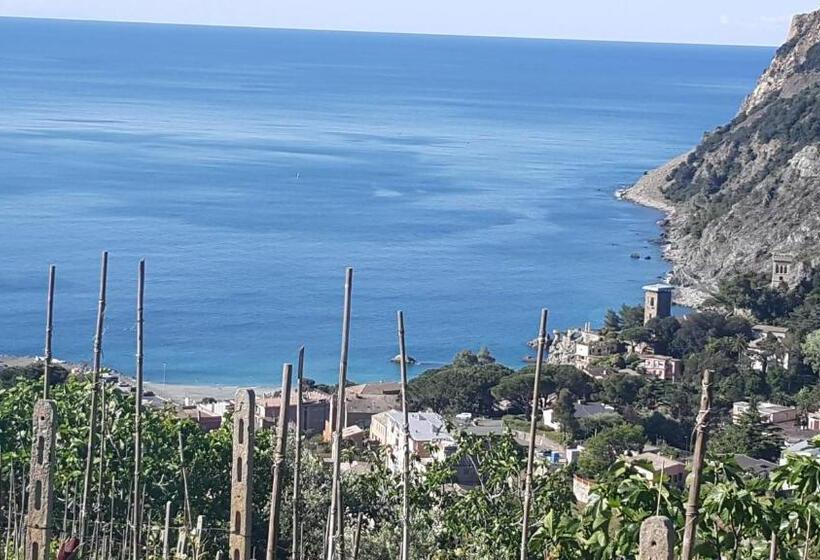 بنسيون La Muraria