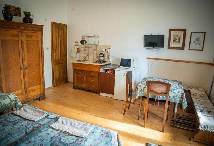 פנסיון Zempléni Szálláshely