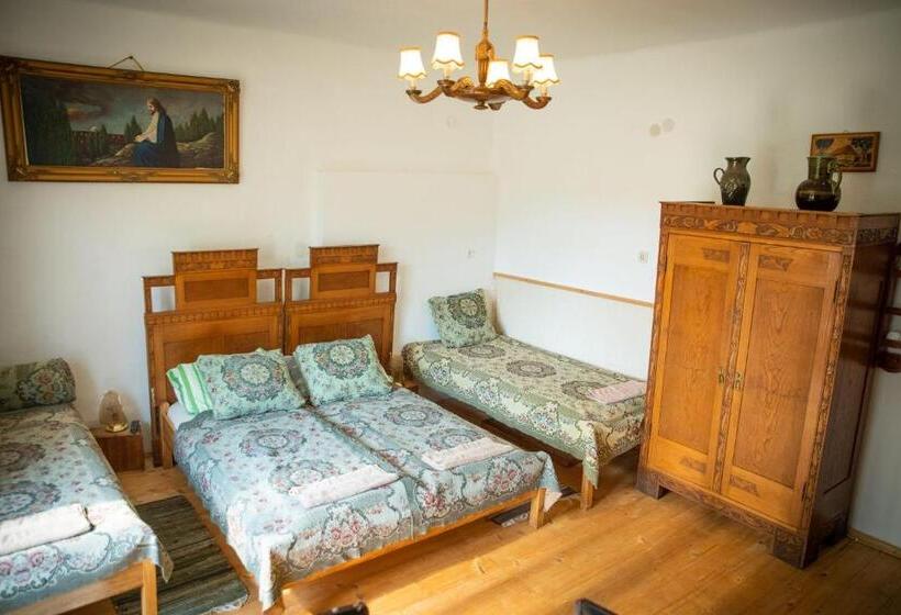 פנסיון Zempléni Szálláshely