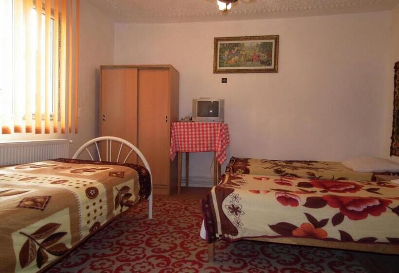 Pensiunea Irina 3