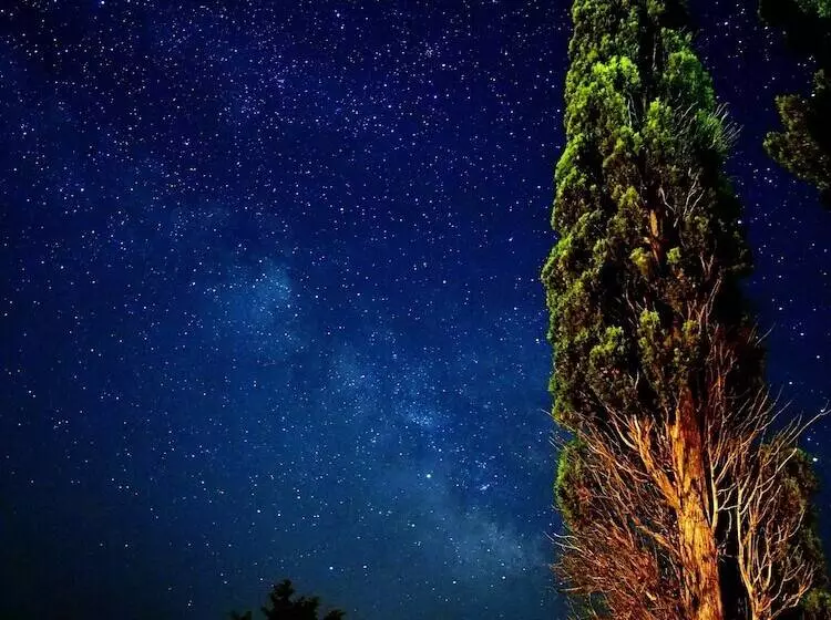 簡易ホテル Monasterio El Olivar