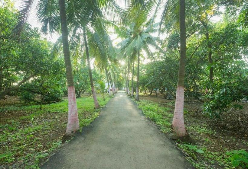 Hotel Oyo 18638 Coco Mango