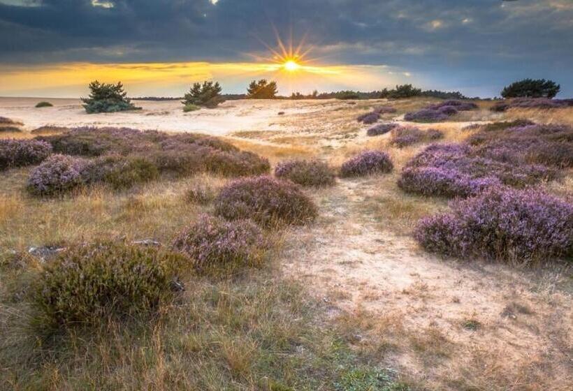 ペンション Evy S Garden House