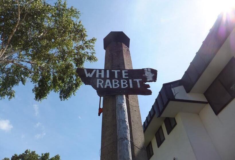 Rental Lodge White Rabbit Madarao Kogen Cottage Rabbit