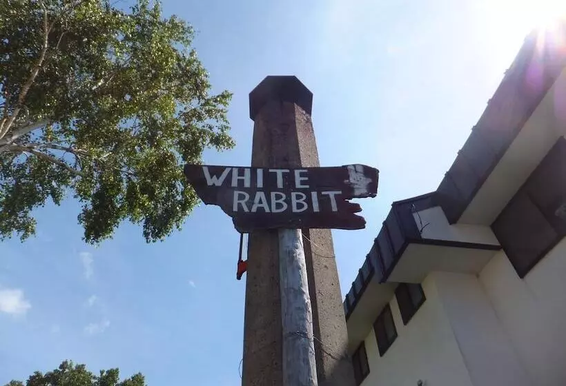 Rental Lodge White Rabbit Madarao Kogen Cottage Rabbit