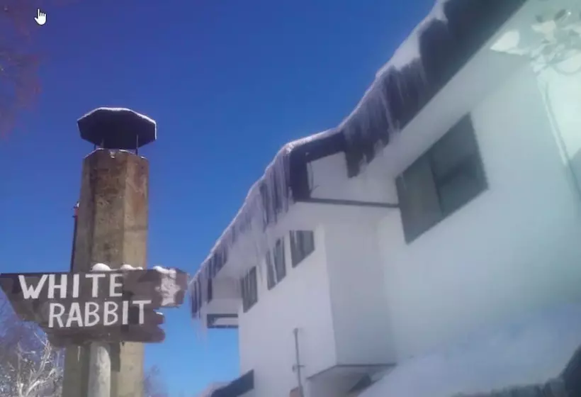 Rental Lodge White Rabbit Madarao Kogen Cottage Rabbit