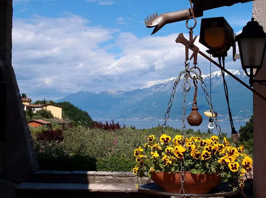 ホテル Albergo Locanda Cavallino