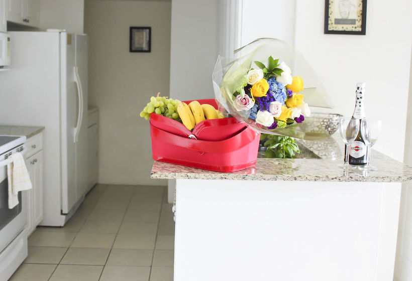 فندق Intracoastal Yacht Club