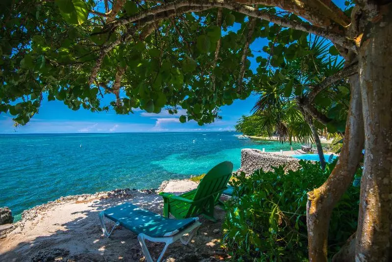 هتل Las Rocas Resort And Dive Center