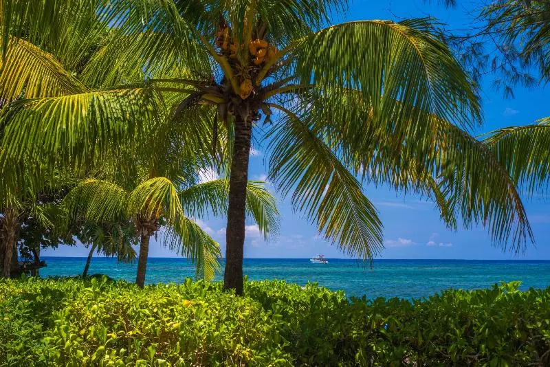 هتل Las Rocas Resort And Dive Center