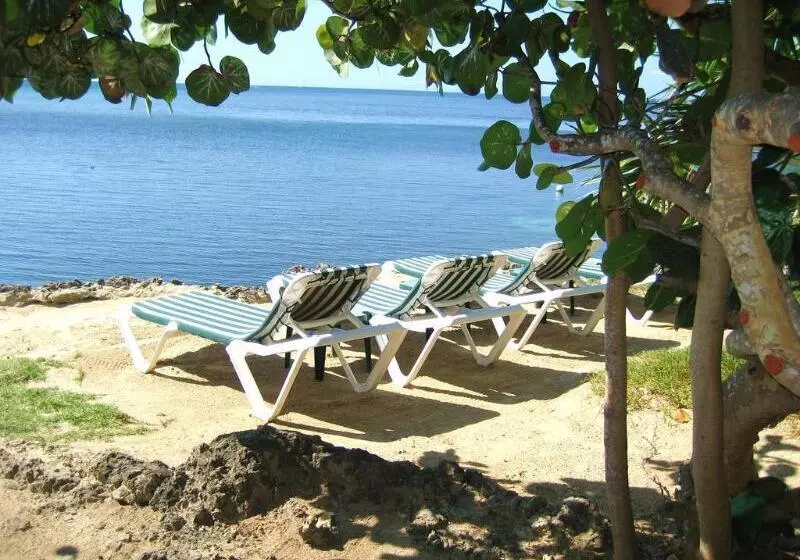 هتل Las Rocas Resort And Dive Center