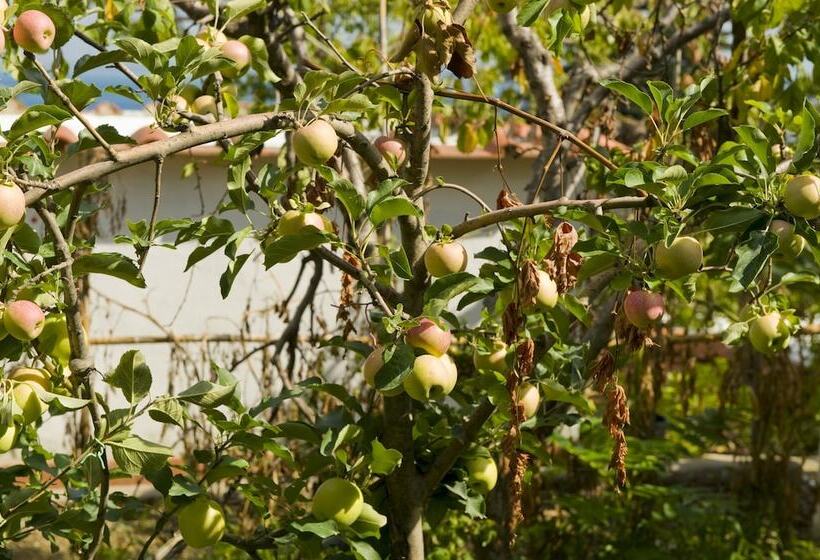 Отель & Residence Matarese