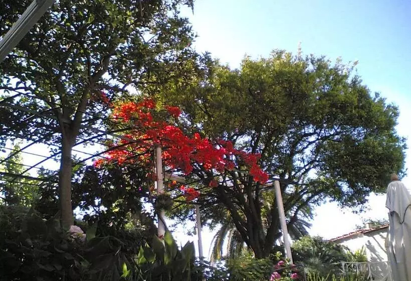 호텔 & Residence Matarese