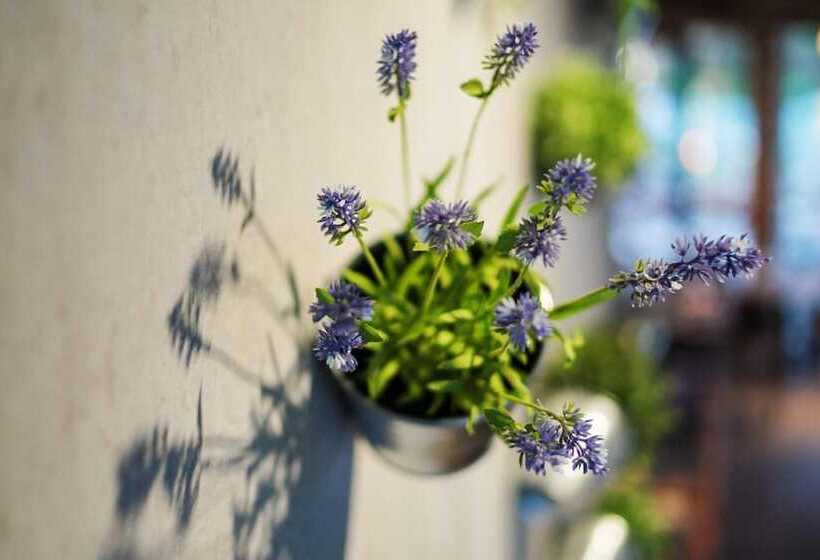 Raphael Hotel Wälderhaus