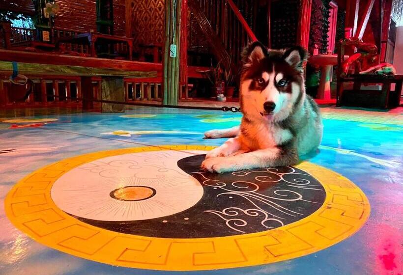 Albergue Villa Atlas Guesthouse