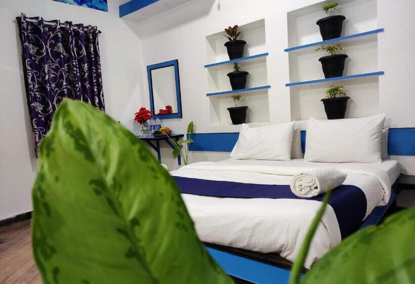 Hotel Adh K F International   Budget