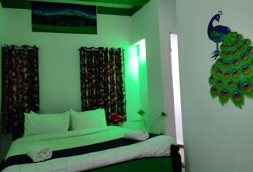 Hotel Adh K F International   Budget