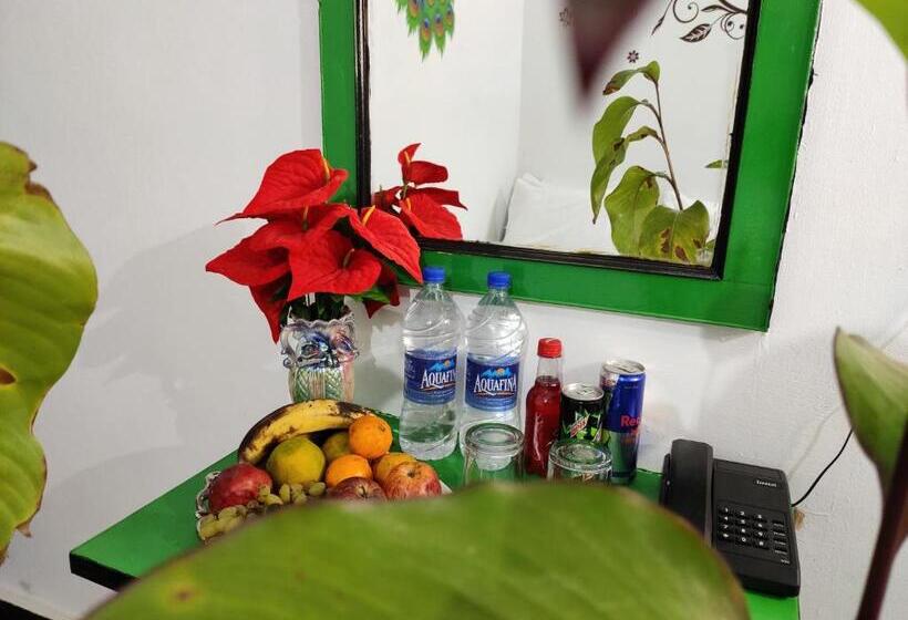 Hotel Adh K F International   Budget