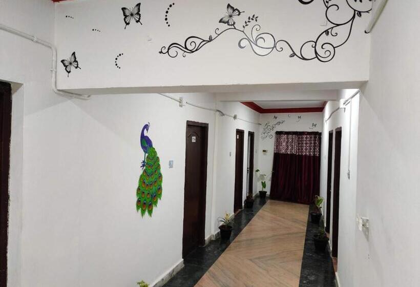 Hotel Adh K F International   Budget