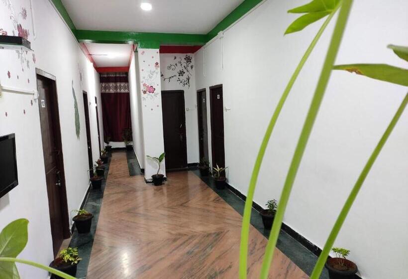 Hotel Adh K F International   Budget