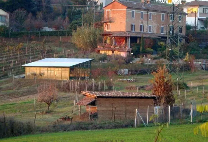 B&b Di Spineto