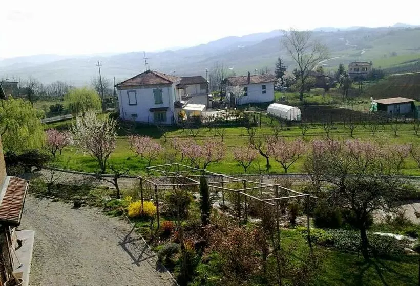 B&b Di Spineto