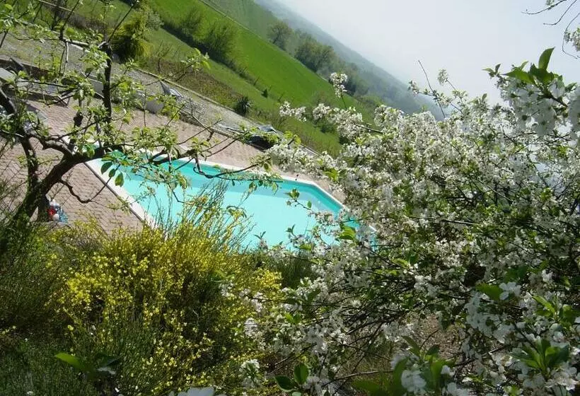 B&b Di Spineto