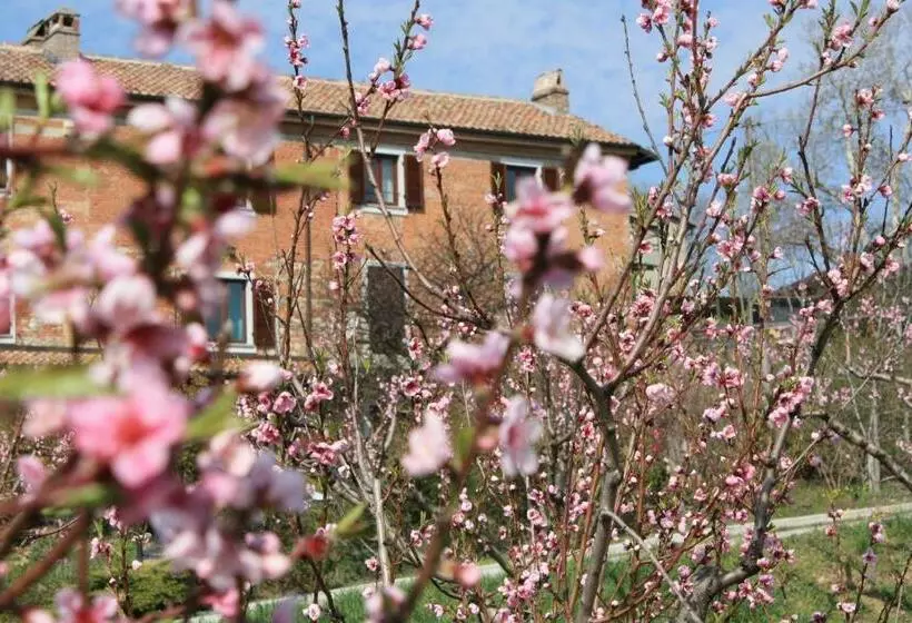 B&b Di Spineto