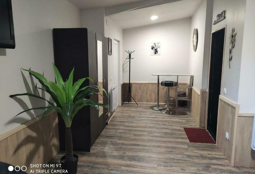 פנסיון 7 Minutes De L Aéroport De Cdg 3