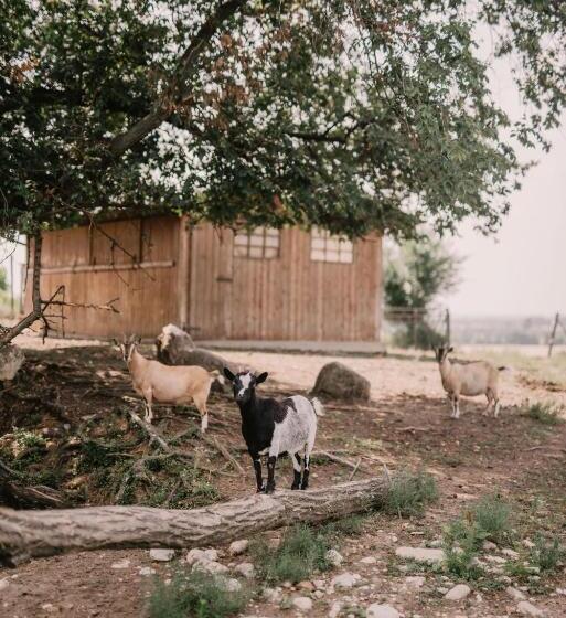 酒店 Al Vecchio Convento Tenuta Malvolti