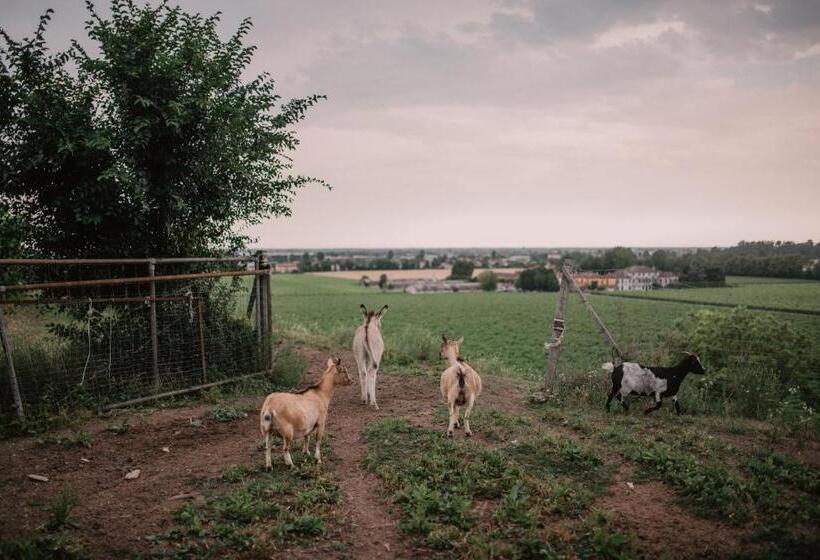 酒店 Al Vecchio Convento Tenuta Malvolti