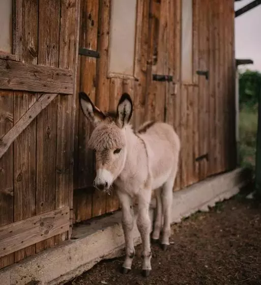 ホテル Al Vecchio Convento Tenuta Malvolti