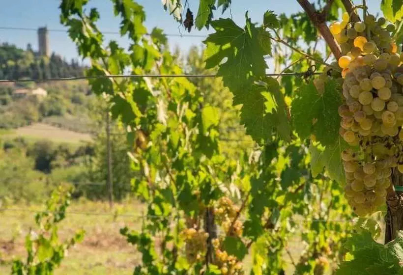 Agriturismo Il Casolare Di Bucciano