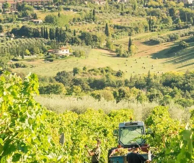Agriturismo Il Casolare Di Bucciano