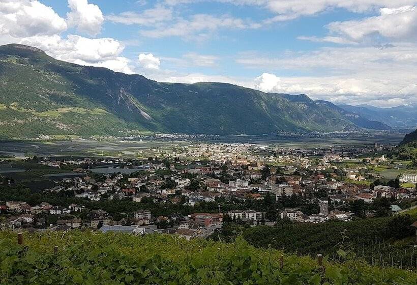 Bed&breakfast Pension Hilpold