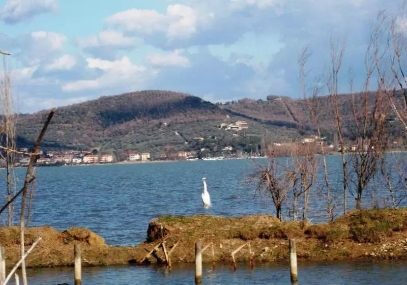 ホテル Borgo Cenaioli