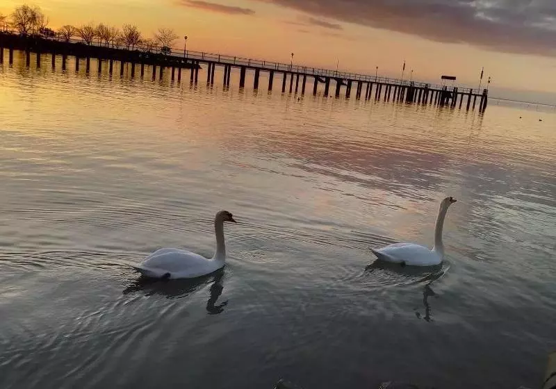 ホテル Borgo Cenaioli