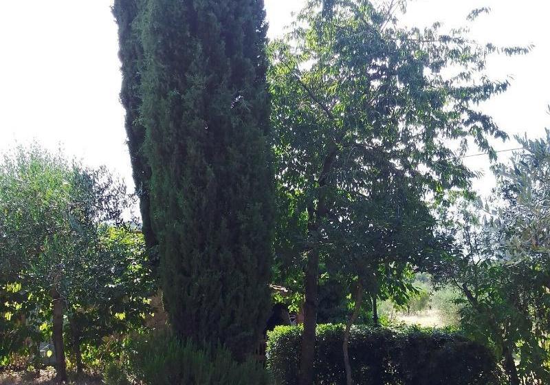 בית מלון כפרי Borgo Cenaioli