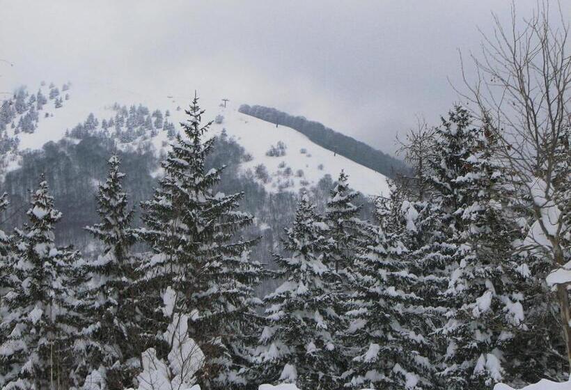 בית מלון כפרי Cocoon Garden