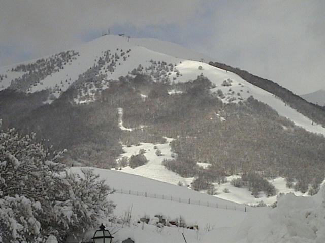 בית מלון כפרי Cocoon Garden