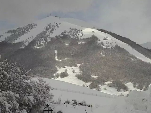 בית מלון כפרי Cocoon Garden