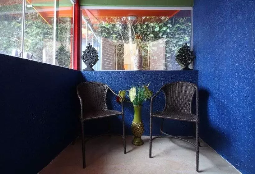 Hotel Pousada De Charme Vila Natal   Design & Art Signature