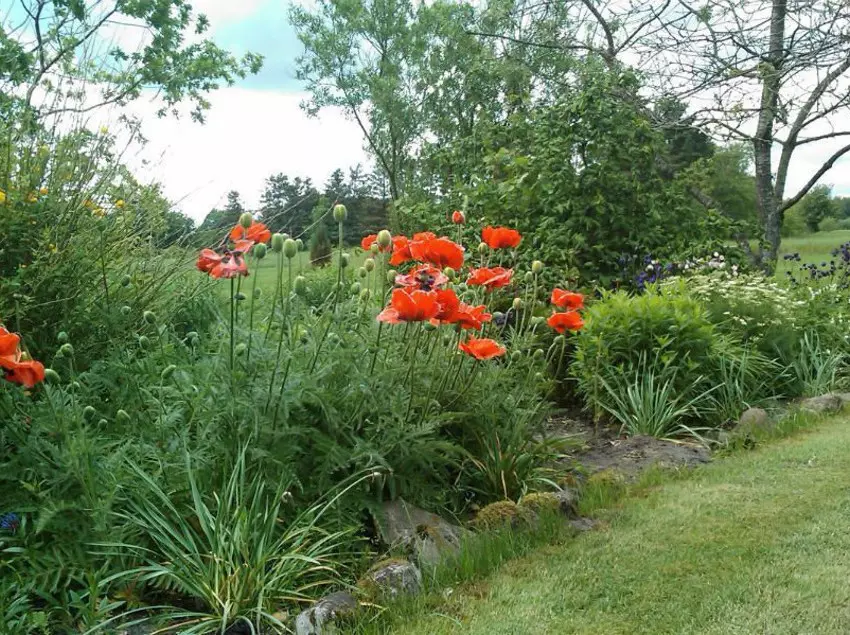 Отель Thorstedlund